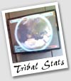 Tribal Statistics Project